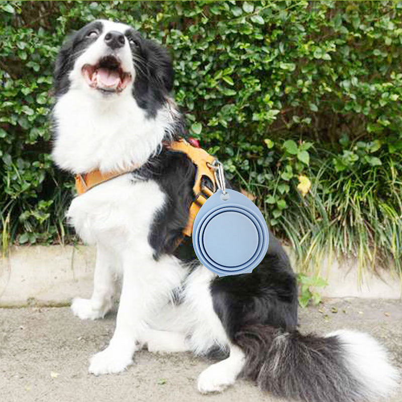 Foldable Silicone Pet Travel Feeding Bowl Portable Dish