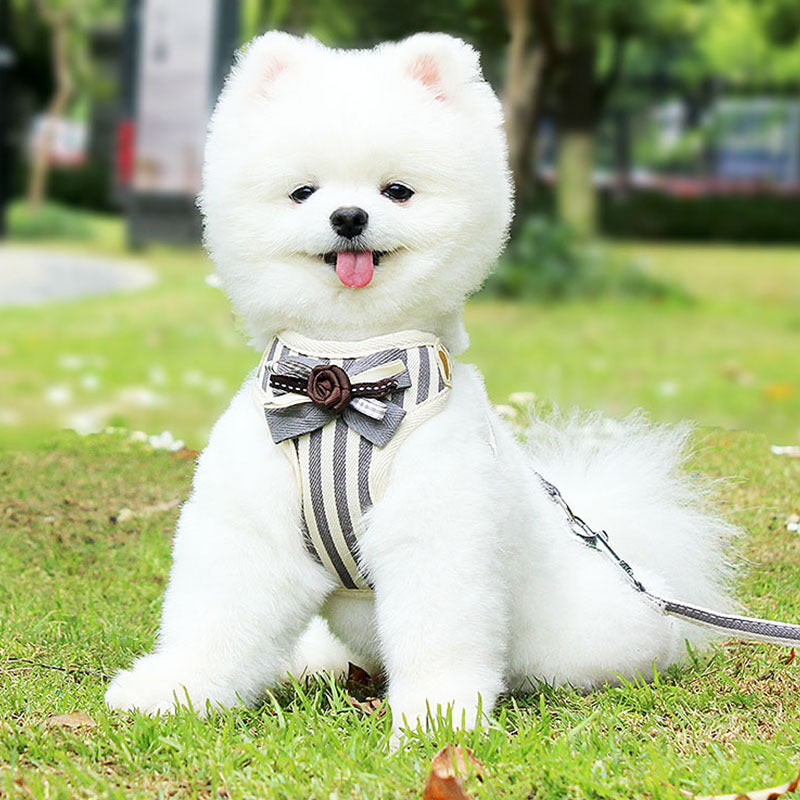 Pet New Chest Strap Vest Type Walking Leash