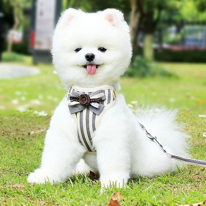 Pet New Chest Strap Vest Type Walking Leash