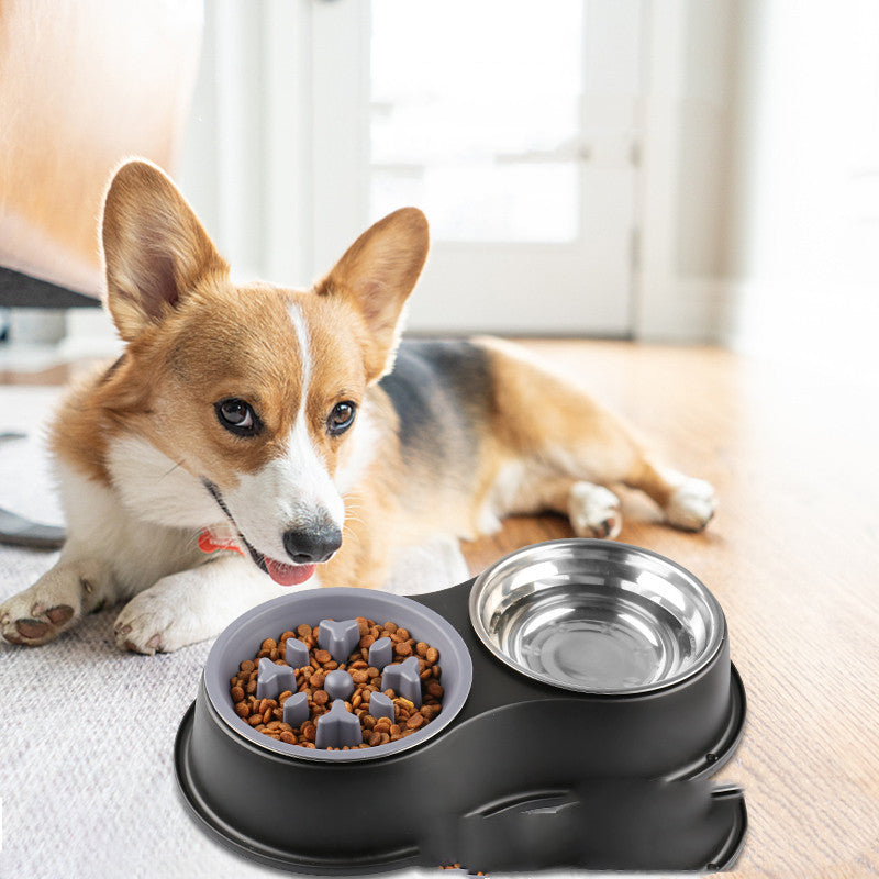 Removable Pet Slow Feeding Bowl Anti Choking Design