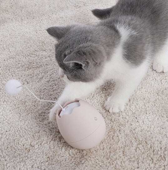 Funny Pet Interactive Toy Gadget For Play And Entertainment