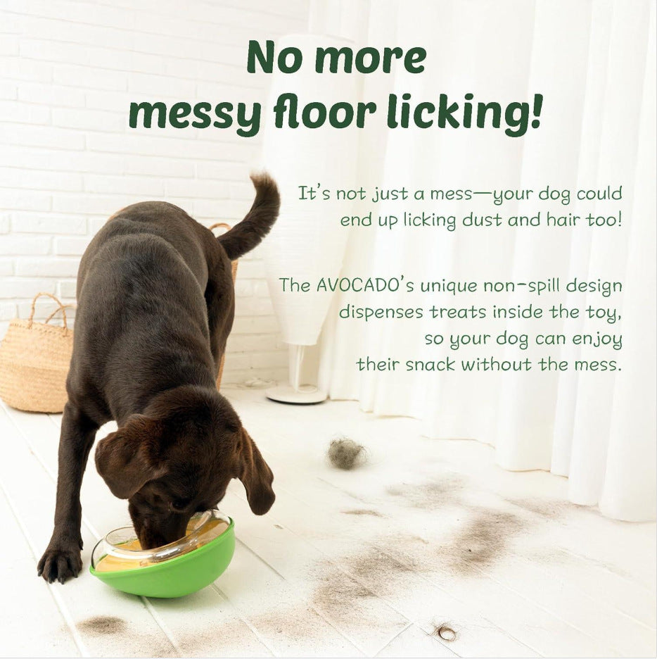 Anti Tumble Avocado Pet Feeding Bowl Stable Dish