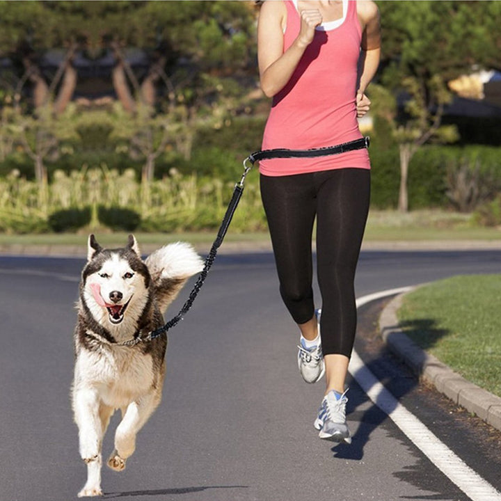 Pet Adjustable Harness Collar Jogging Walking Leash
