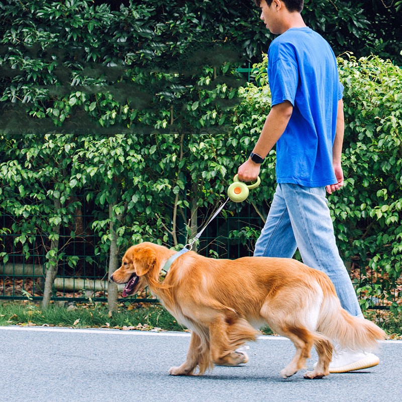 Pet Reflective Retractable Walking Rope Leash