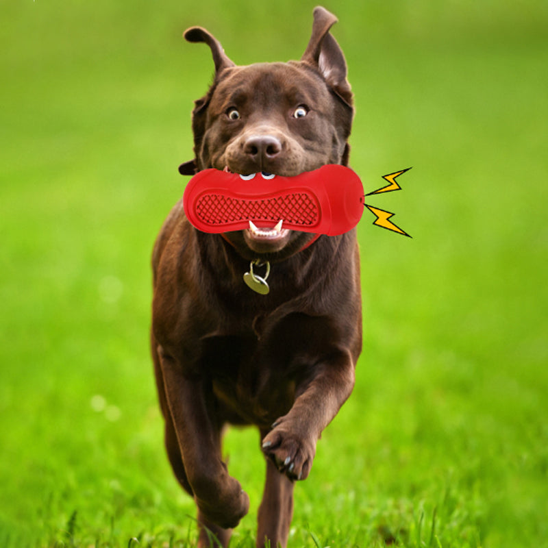 Natural Rubber Vocal Rugby Interactive Chew Pet Toy