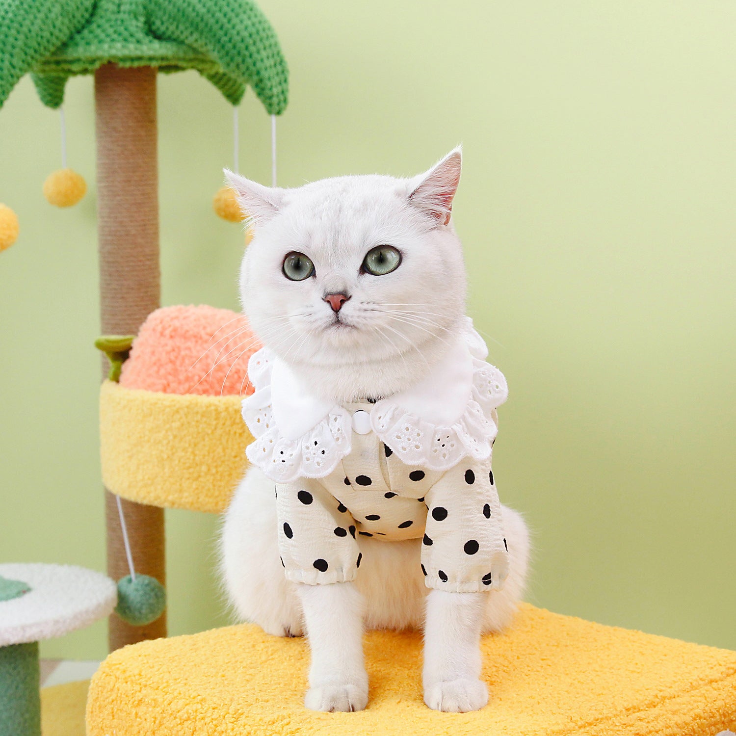 Pet Blue Ragdoll T Shirt Casual Clothing Top