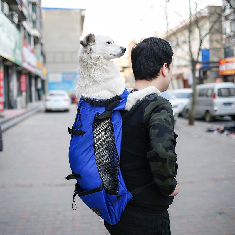 Double Shoulder Pet Backpack Carrier Outdoor Travel Bag