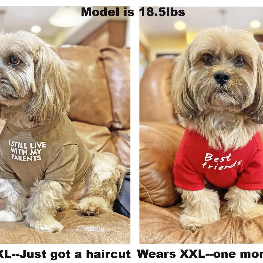 Pet Round Neck T Shirt Casual Clothing Top