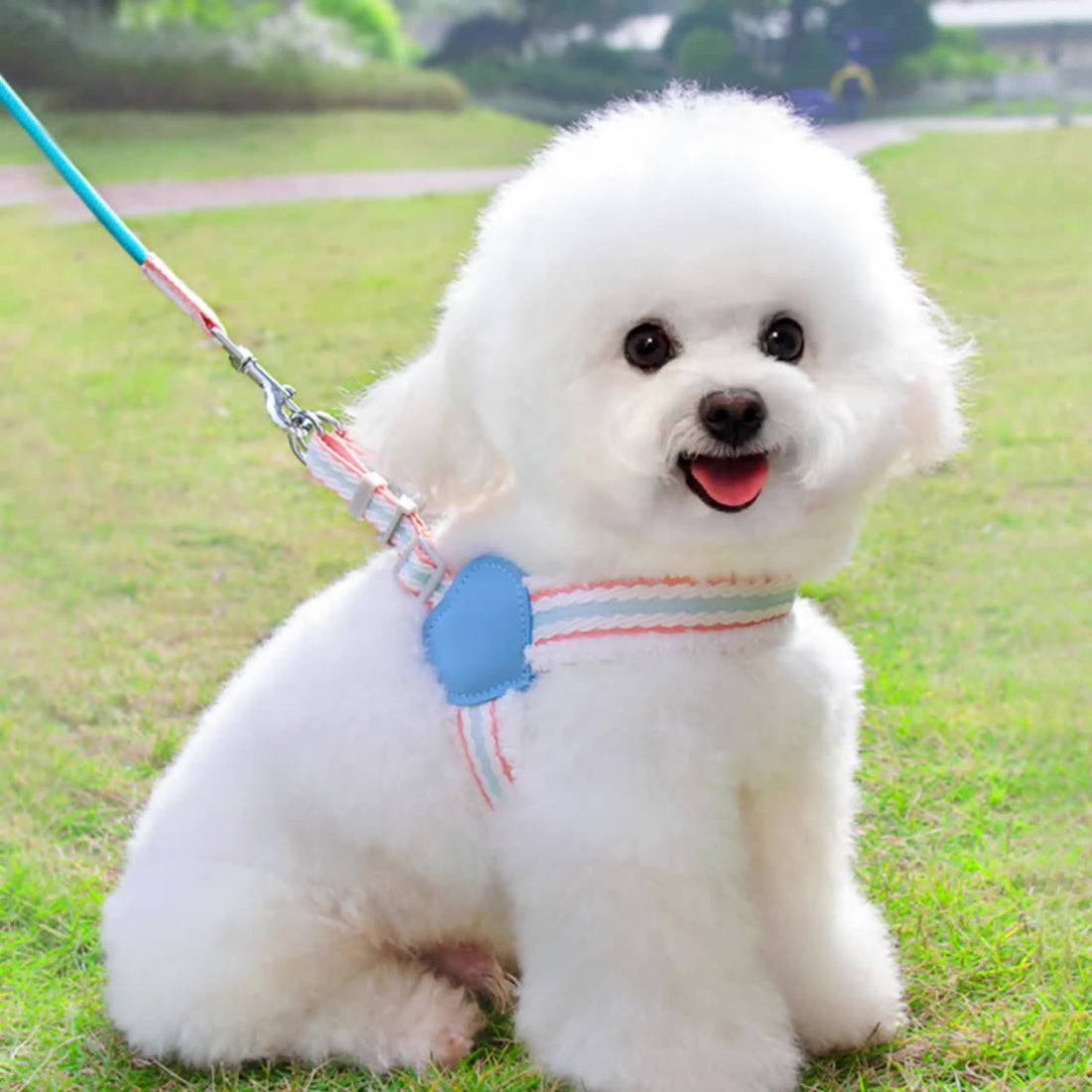 Pet Breathable Chest Vest Walking Leash Summer Gear