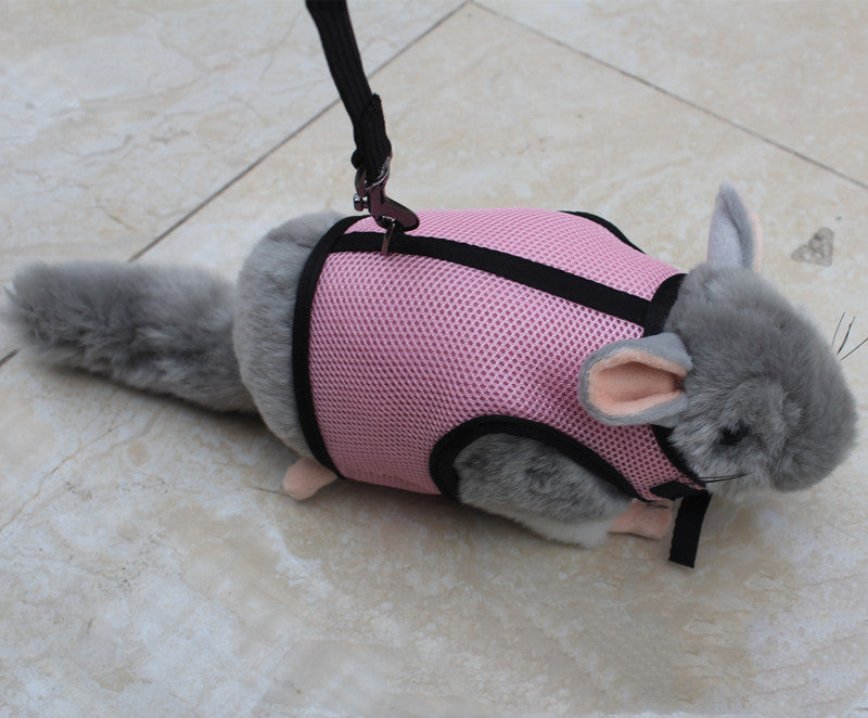 Pet Small Adjustable Safety Walking Leash