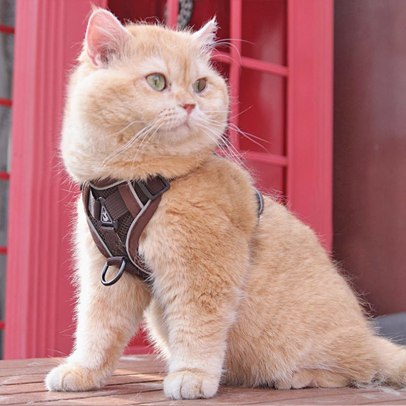 Pet New Vest Chest Strap Harness Walking Leash Gear