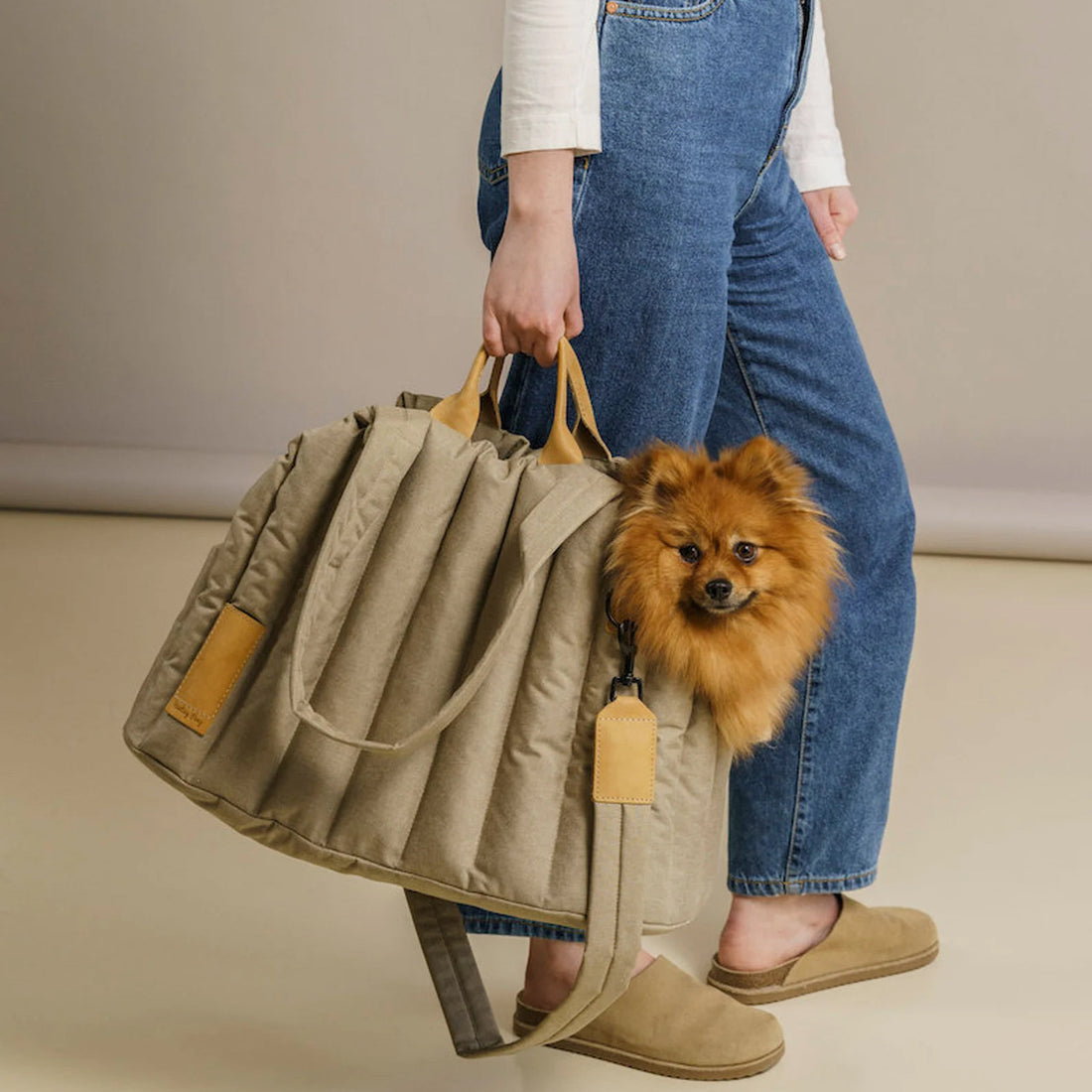 Lightweight Waterproof Pet Carrier Outdoor Fashion Handbag Bag