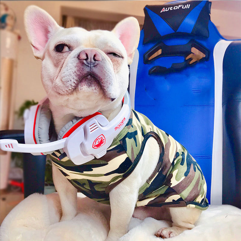 Pet Summer Fashion Personality T Shirt Clothing Top