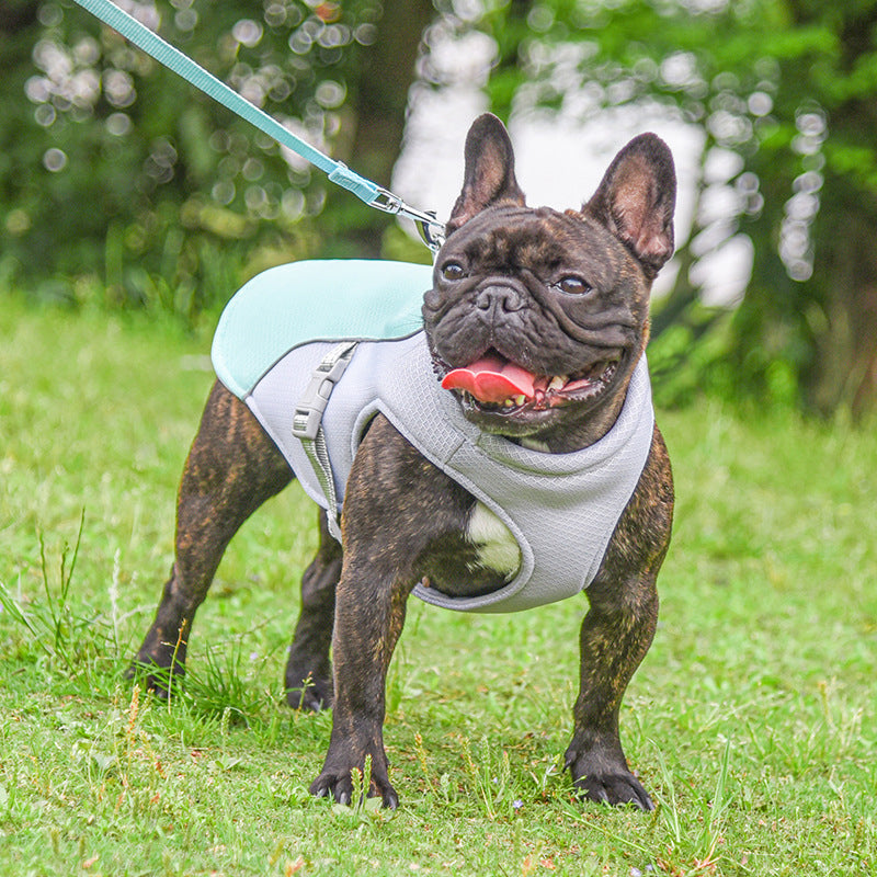 Pet Summer Outdoor Breathable Cooling Vest Clothing