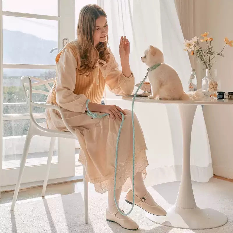 Pet Leather Handheld Collar Walking Rope Leash