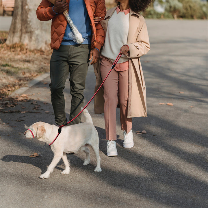 Pet Nylon Mouth Walking Safety Leash Harness