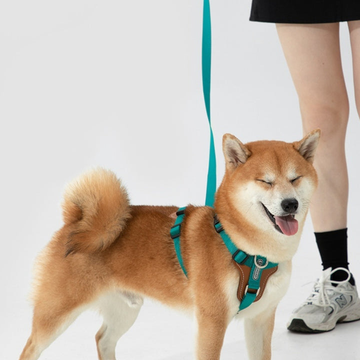 Pet Multifunctional Explosion Proof Chest Strap Rope Leash