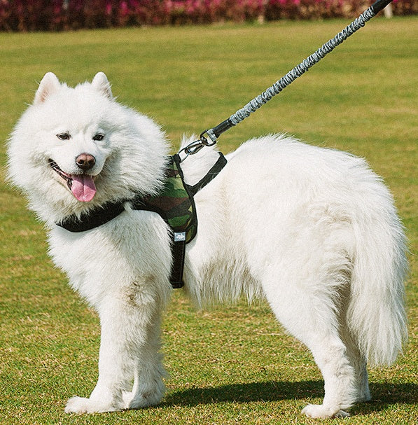 Pet Adjustable Chest Harness Walking Leash Safety Gear