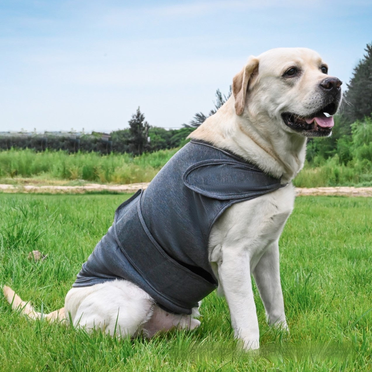 Pet Soothing Anxiety Relief Tank Top Clothing Vest