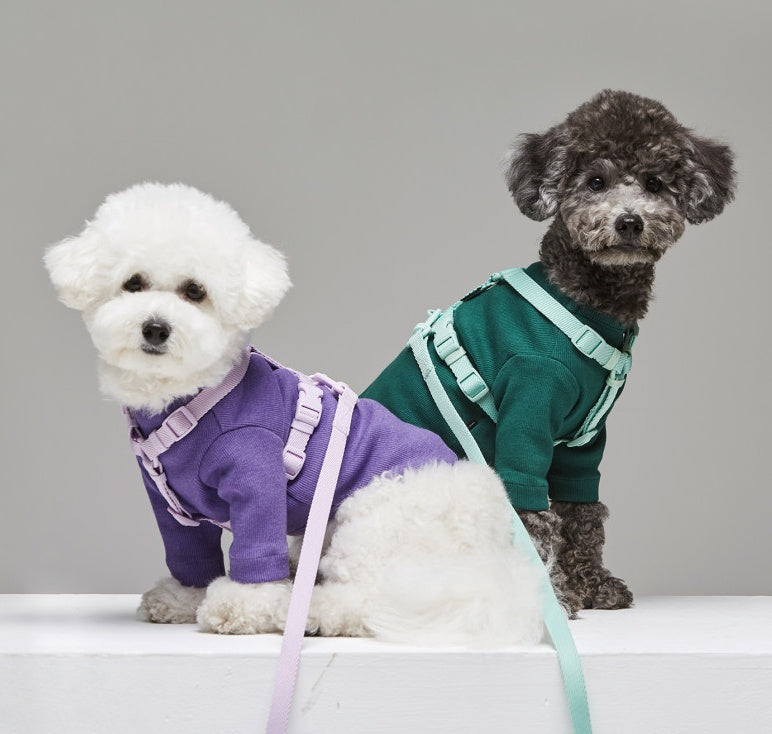 Pet Macaron Style Fashion Walking Leash Gear