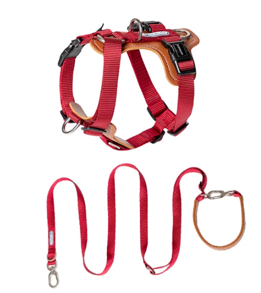 Pet Multifunctional Explosion Proof Chest Strap Rope Leash
