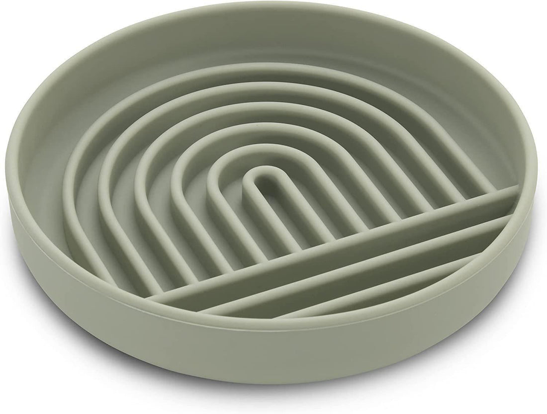 Simple Fashion Pet Slow Feeding Bowl Anti Choking Dish