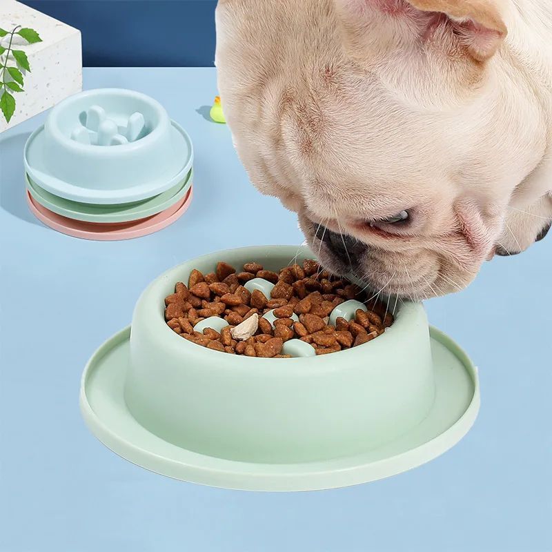 Pet Slow Feeding Anti Choking Interactive Food Bowl Plate