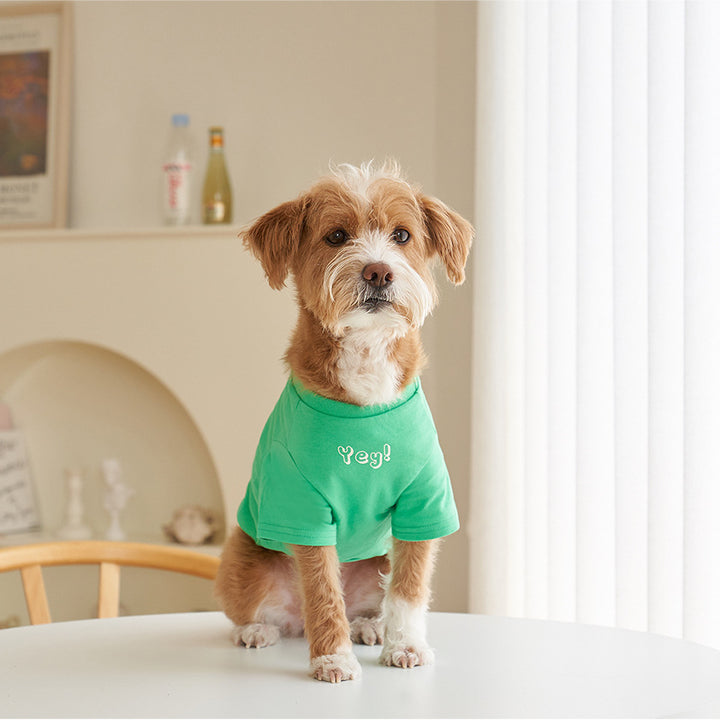 Pet Refreshing Color Print Cotton Summer T Shirt