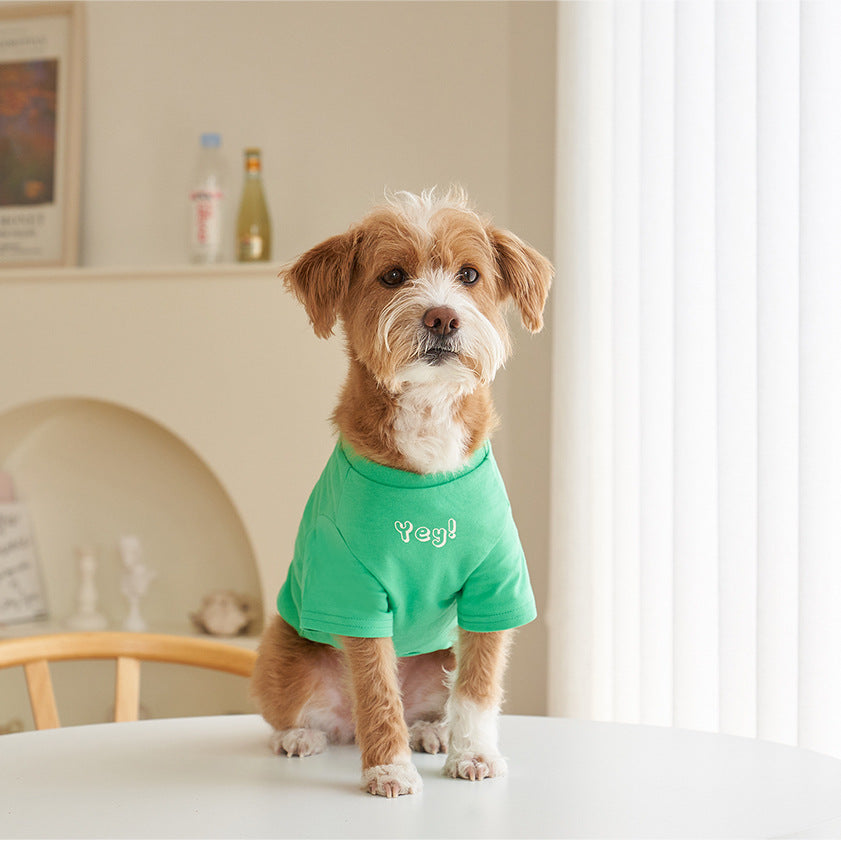 Pet Refreshing Color Print Cotton Summer T Shirt