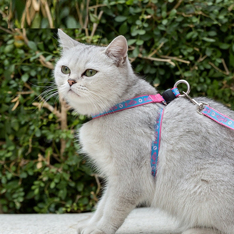 Pet Bell Chest Strap Vest Walking Leash Harness