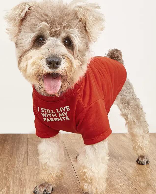 Pet Round Neck T Shirt Casual Clothing Top