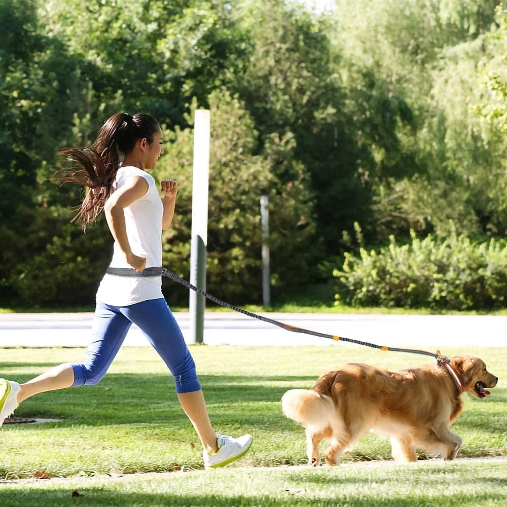 Pet Adjustable Harness Collar Jogging Walking Leash
