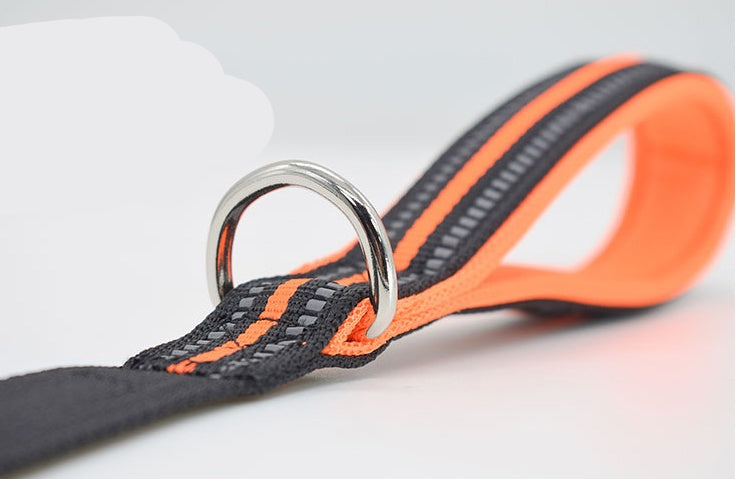 Pet Nylon Assisted Retractable Walking Leash Gear