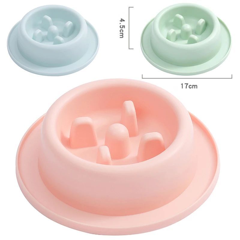Pet Slow Feeding Anti Choking Interactive Food Bowl Plate