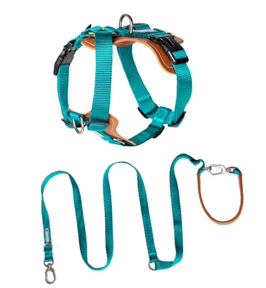 Pet Multifunctional Explosion Proof Chest Strap Rope Leash