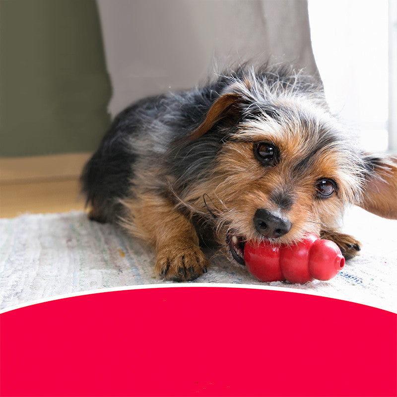 Bite Resistant Rubber Grinding Chew Pet Toy