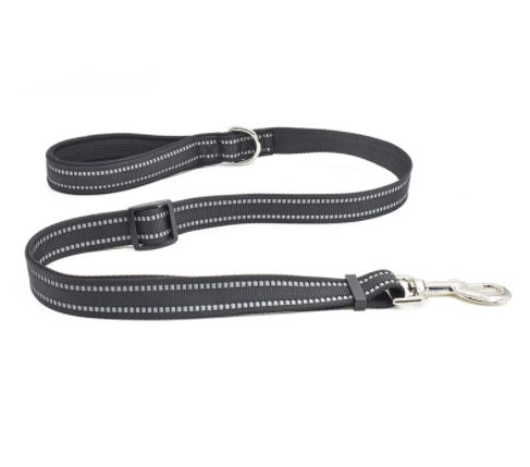 Pet Nylon Assisted Retractable Walking Leash Gear