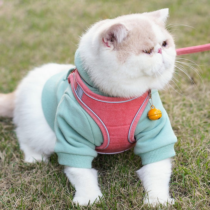 Pet Vest Type Chest Harness Walking Leash