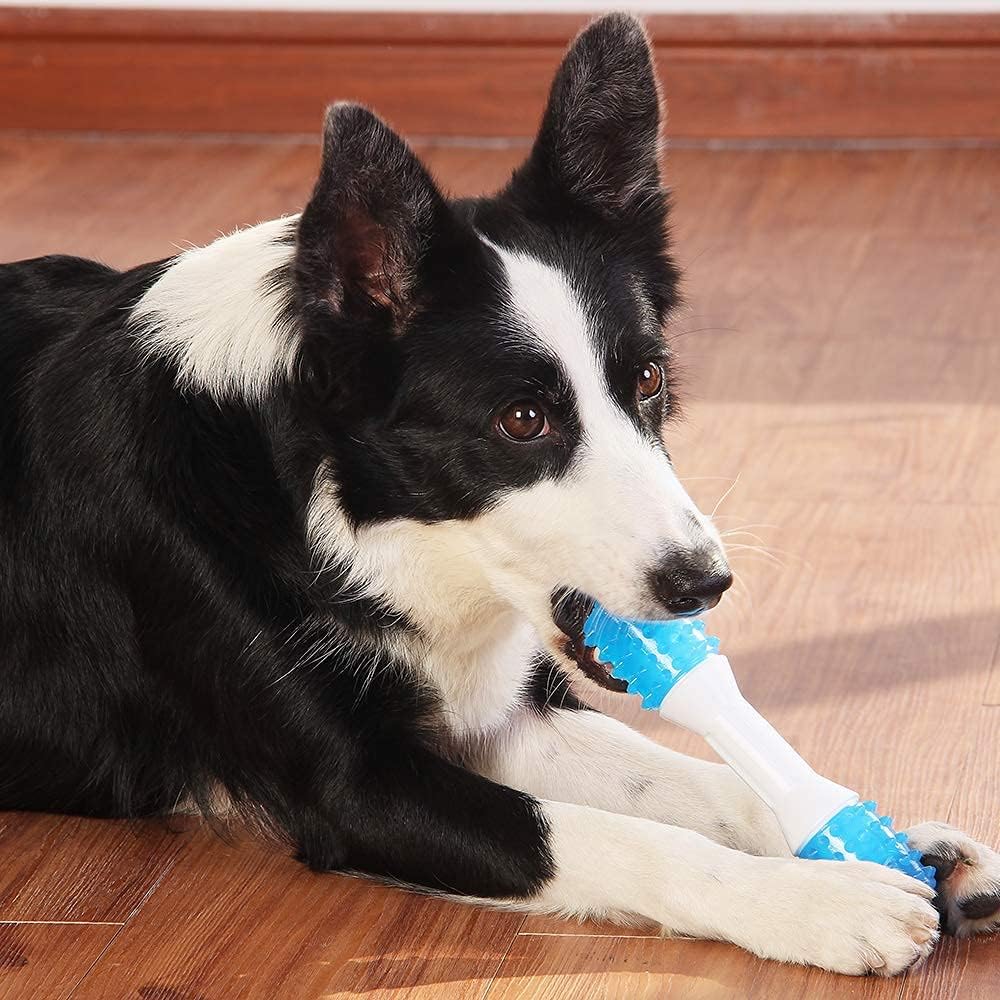 Rubber Teething Chew Pet Toy For Dental Care And Comfort