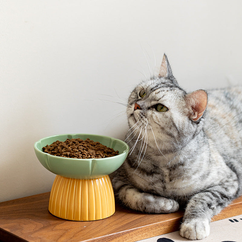 Macaron Color Ceramic Pet Feeding Bowl Set Dish