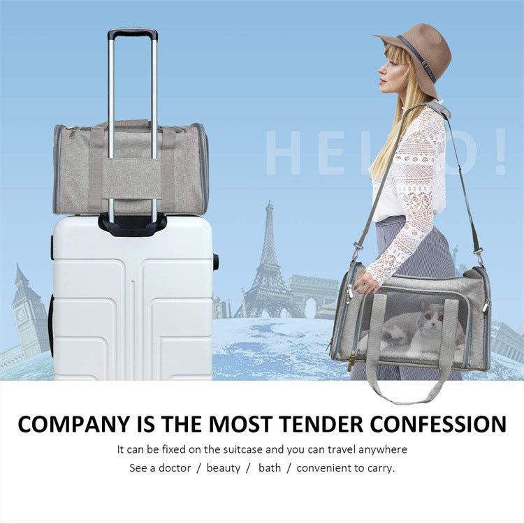 Portable Foldable Handheld Pet Carrier Travel Bag