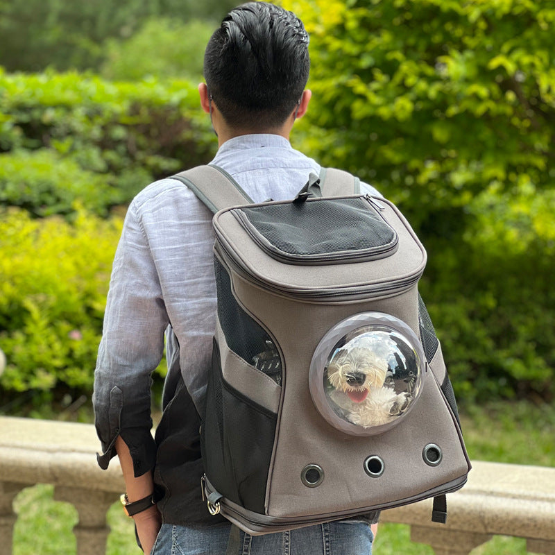 Portable Medium Pet Carrier Backpack Style Travel Bag