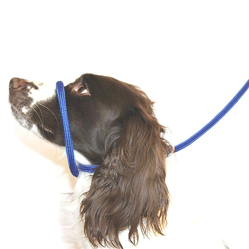 Pet Nylon Mouth Walking Safety Leash Harness