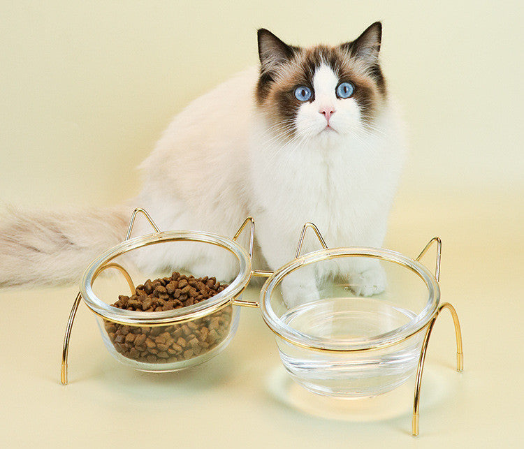 Glass Pet Feeding And Water Bowl With Metal Rack Stand