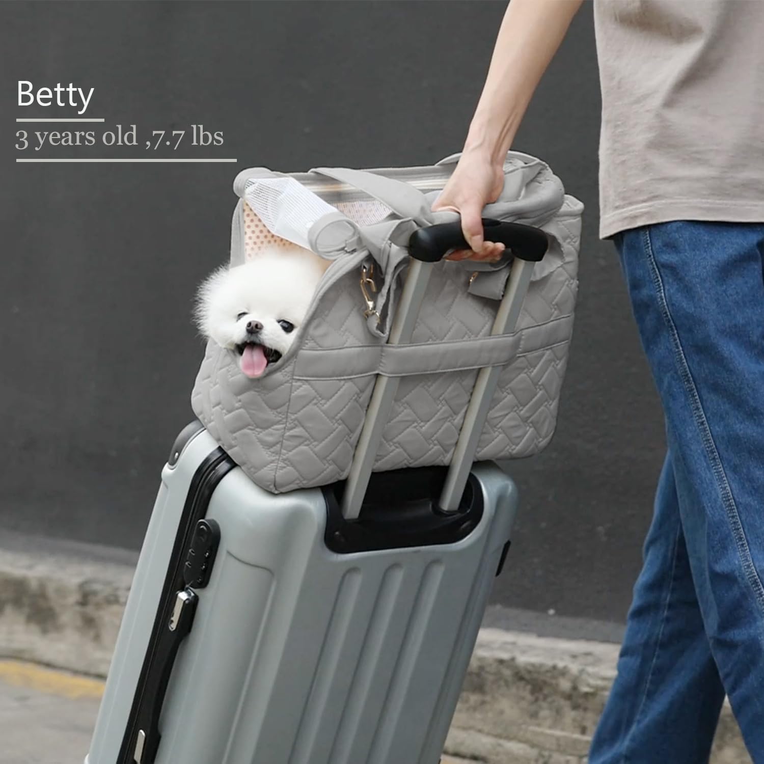 Breathable Mesh Pet Carrier Handbag With Cushion Travel Tote