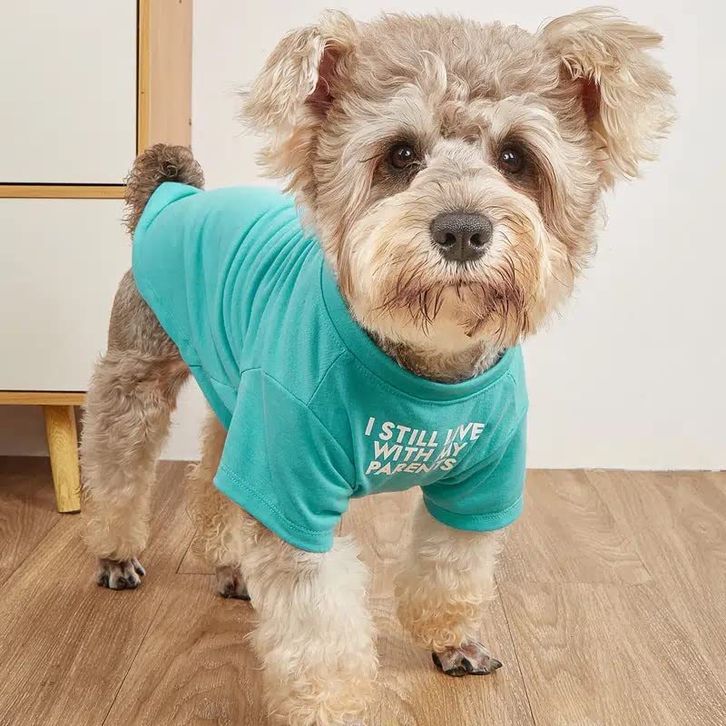 Pet Round Neck T Shirt Casual Clothing Top