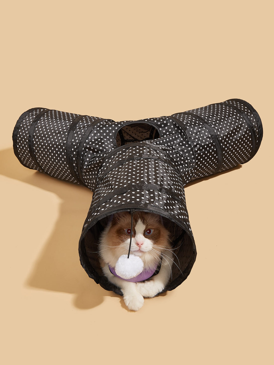 Collapsible Pet Tunnel Play Channel Toy Supplies