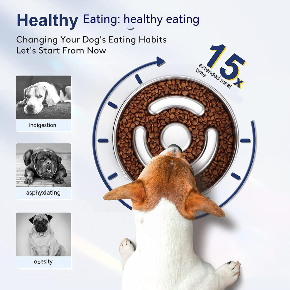 Stainless Steel Pet Slow Feeding Neck Support Bowl