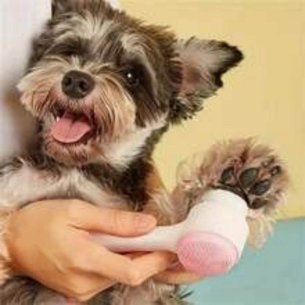 Gentle Nylon Pet Paw Brush Grooming Massage Cleaning Tool