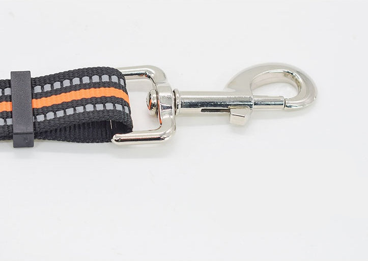 Pet Nylon Assisted Retractable Walking Leash Gear